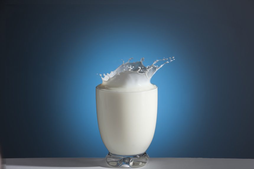 Milk_IMG_5293 Milk_IMG_5293