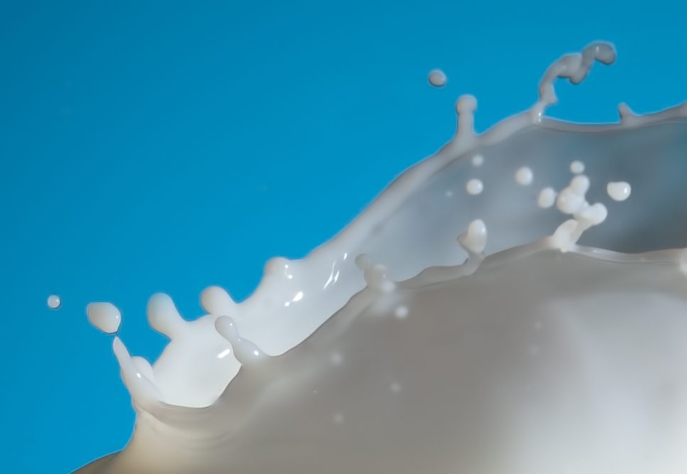Milk_IMG_5293_crop Milk_IMG_5293_crop