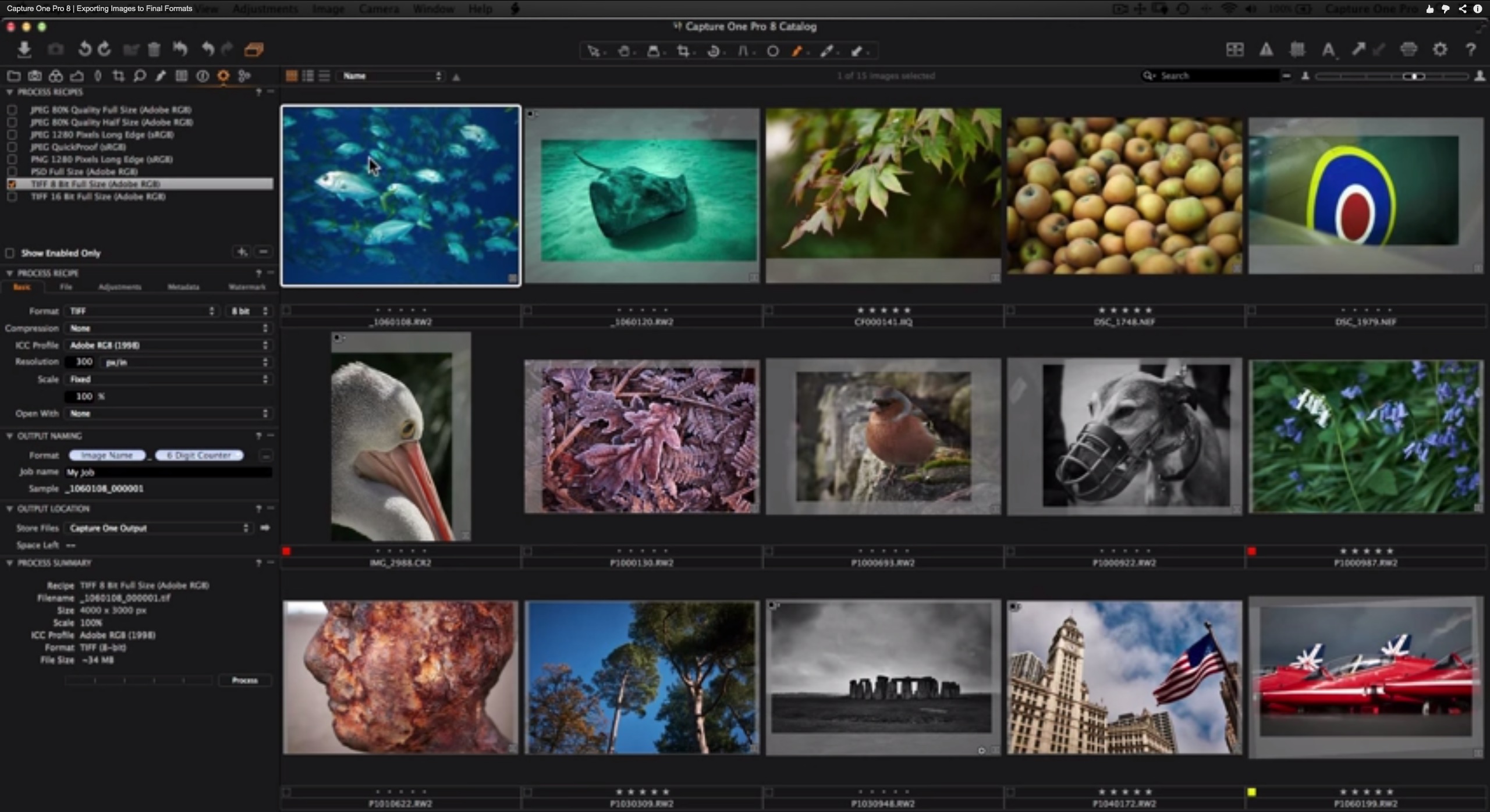 Экспорт из capture one