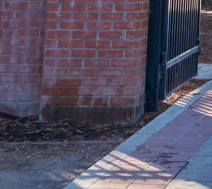 Sony-RX10mkII-shadows-recovery-test-2