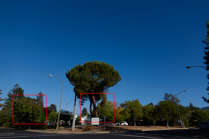 Sony RX10 MkII sample image