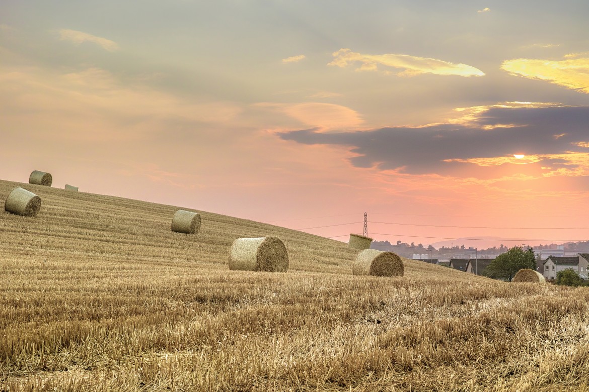 What makes Sigma Dp3 Quattro an awesome camera the review and image