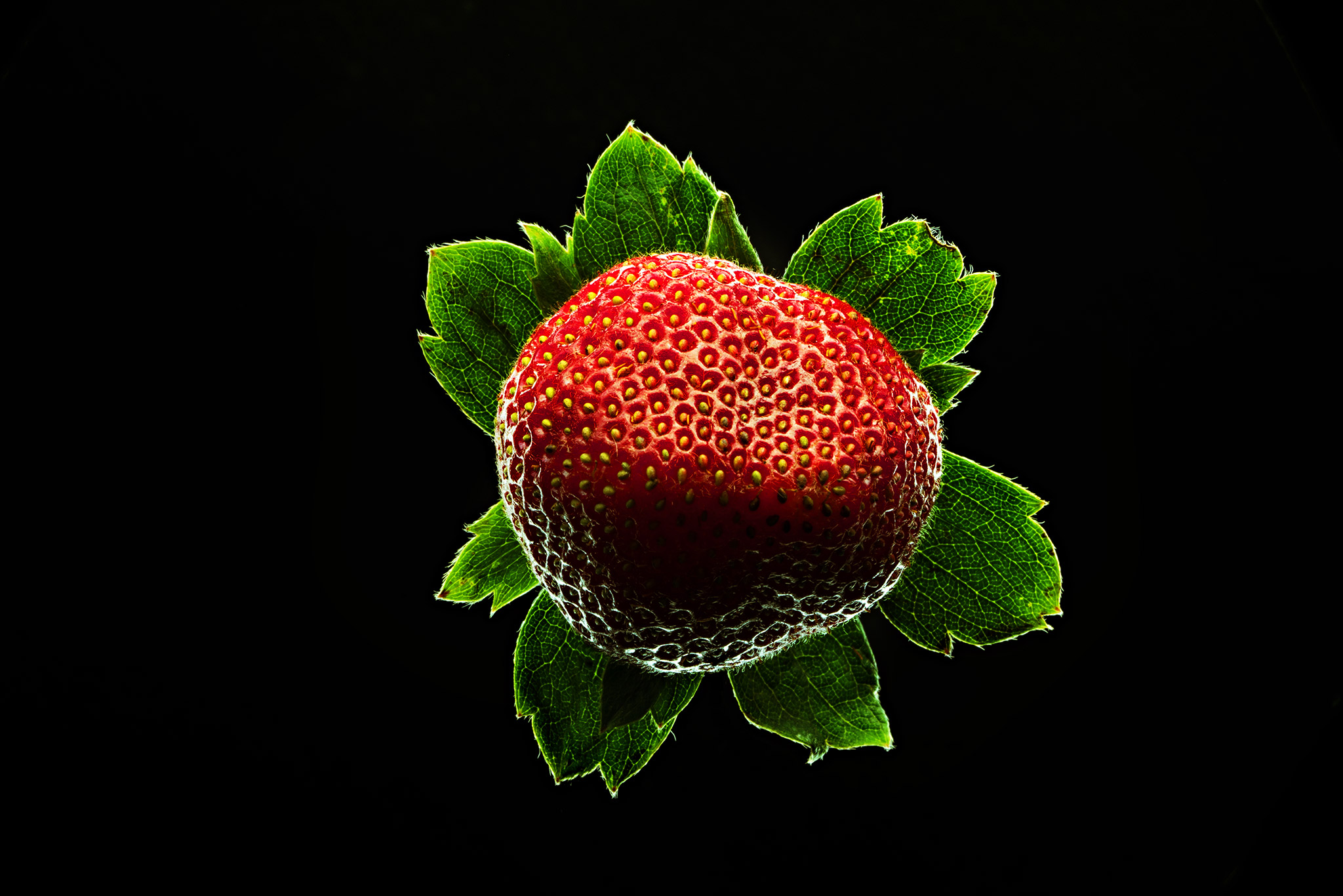 Dramatic shot of strawberry